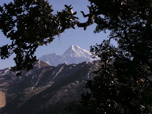 3_Trek_Bednibugyal_Vikaltal_0604_P4210162