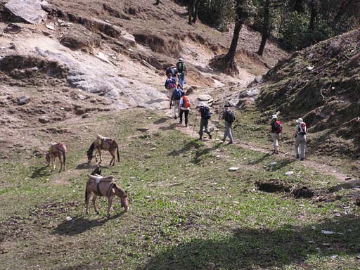 3_Trek_Bednibugyal_Vikaltal_0604_P4210187