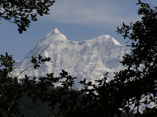 3_Trek_Bednibugyal_Vikaltal_0604_P4210196