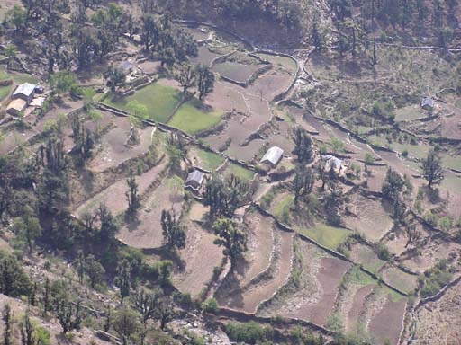 3_Trek_Bednibugyal_Vikaltal_0604_P4210208