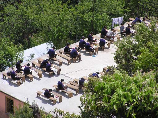 3_Trek_Bednibugyal_Vikaltal_0604_P4210215