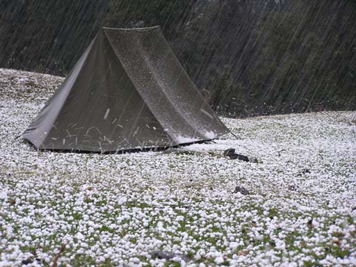 4_Tungnath_0604_P4230245