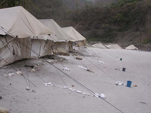 5_Ganges_Rishikesh_0604_P4250355