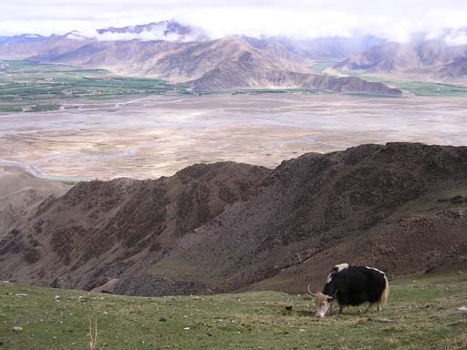 Tibet_2006_P5290336