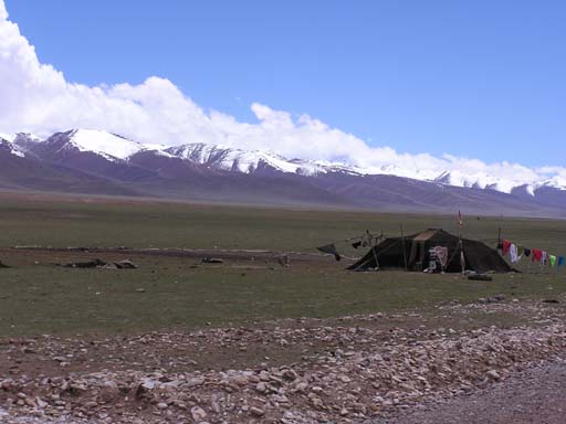 Tibet_2006_P5310492