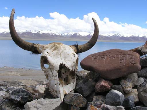 Tibet_2006_P5310510