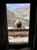 Tibet_2006_P5280225