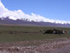 Tibet_2006_P5310492