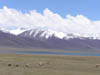 Tibet_2006_P5310502