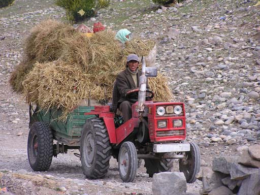 Tibet_2006_P5310463