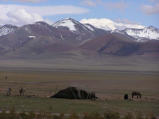Tibet_2006_P5310546