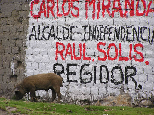 Cordillera_Blanca_P1010009