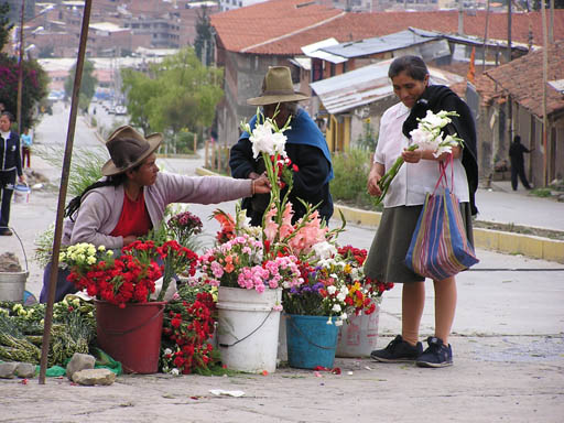 Cordillera_Blanca_P1010016