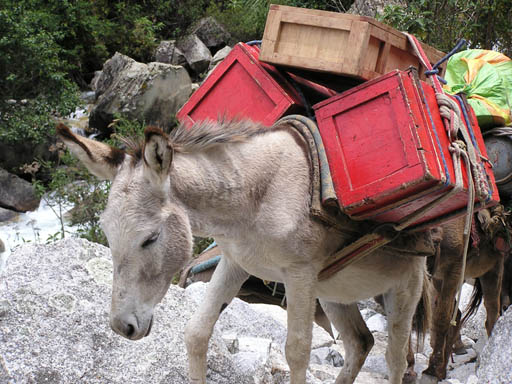 Cordillera_Blanca_P1010072