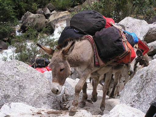 Cordillera_Blanca_P1010075