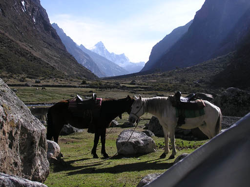 Cordillera_Blanca_P1010099