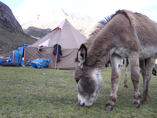 Cordillera_Blanca_P1010133