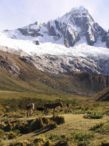 Cordillera_Blanca_P1010145