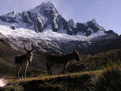 Cordillera_Blanca_P1010146