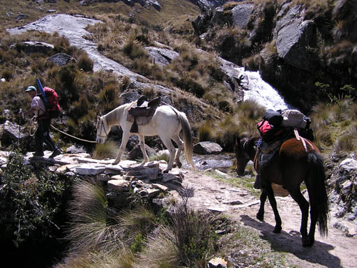 Cordillera_Blanca_P1010160