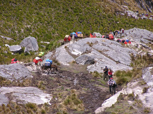 Cordillera_Blanca_P1010198