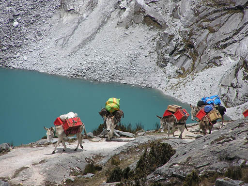 Cordillera_Blanca_P1010201