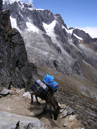 Cordillera_Blanca_P1010220