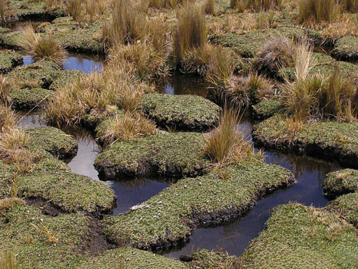 Cordillera_Blanca_P1010236