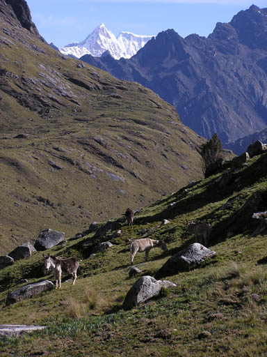 Cordillera_Blanca_P1010264