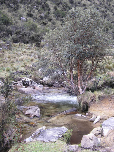 Cordillera_Blanca_P1010272