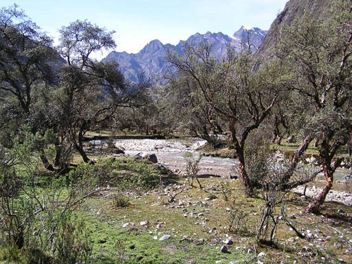 Cordillera_Blanca_P1010284