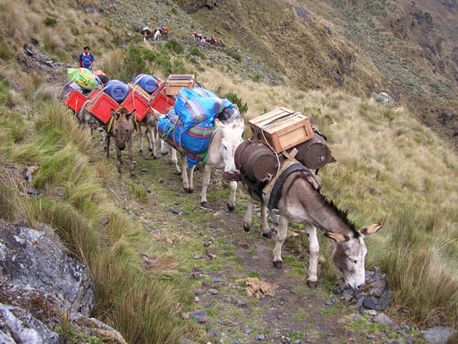 Cordillera_Blanca_P1010361