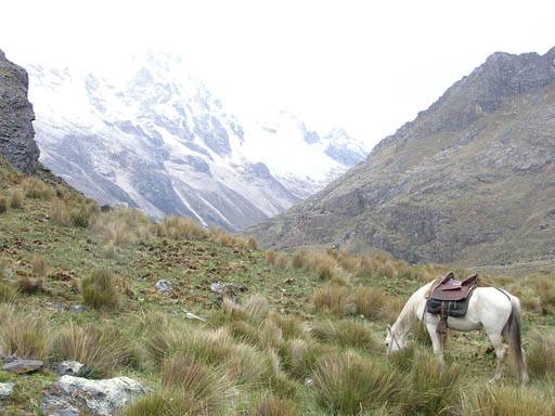 Cordillera_Blanca_P1010397