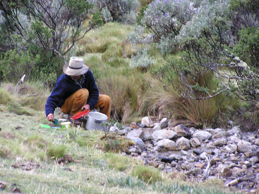 Cordillera_Blanca_P1010432