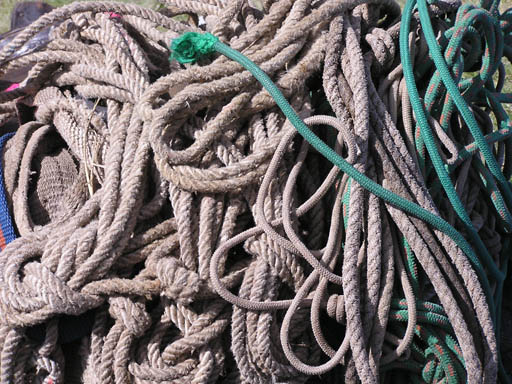 Cordillera_Blanca_P1010454