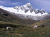 Cordillera_Blanca_P1010121