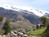 Cordillera_Blanca_P1010325