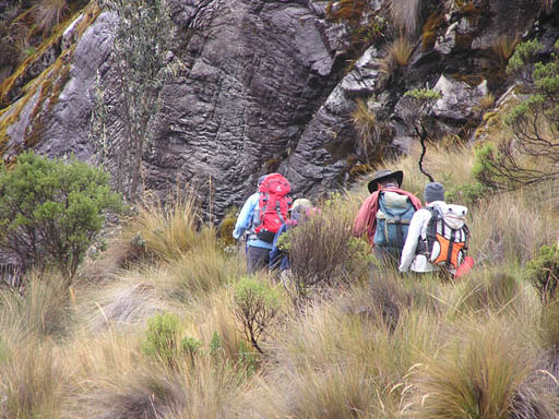 Cordillera_Blanca_P1010026