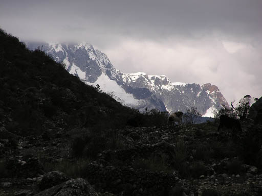 Cordillera_Blanca_P1010088