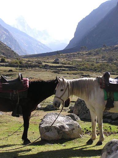 Cordillera_Blanca_P1010100