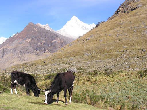 Cordillera_Blanca_P1010142