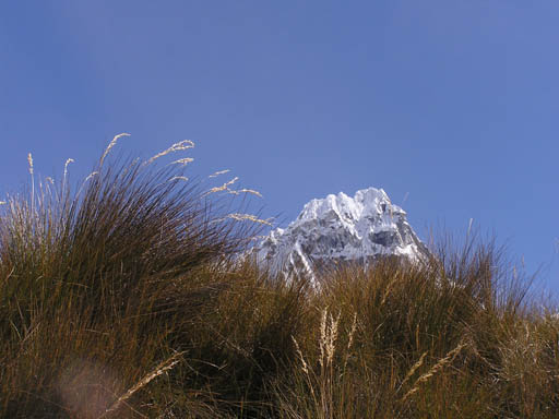 Cordillera_Blanca_P1010155