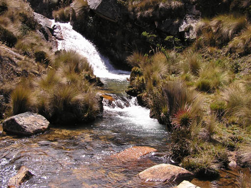 Cordillera_Blanca_P1010163