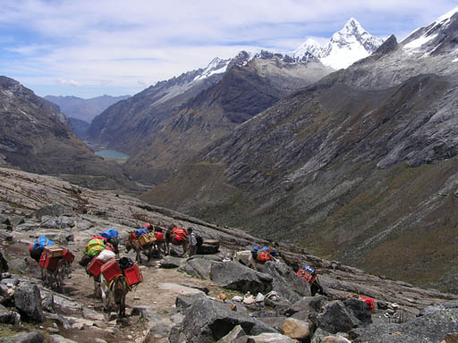 Cordillera_Blanca_P1010208