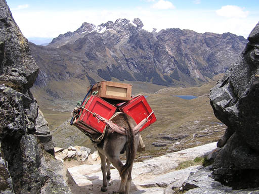 Cordillera_Blanca_P1010215