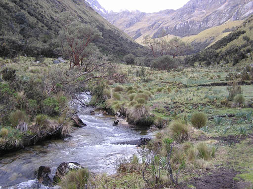 Cordillera_Blanca_P1010273