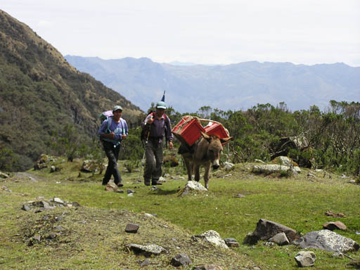 Cordillera_Blanca_P1010344