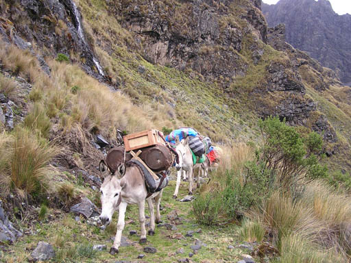 Cordillera_Blanca_P1010360