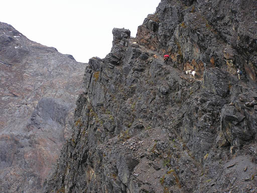 Cordillera_Blanca_P1010377