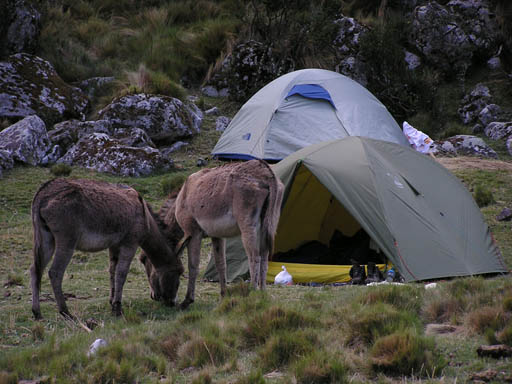 Cordillera_Blanca_P1010435